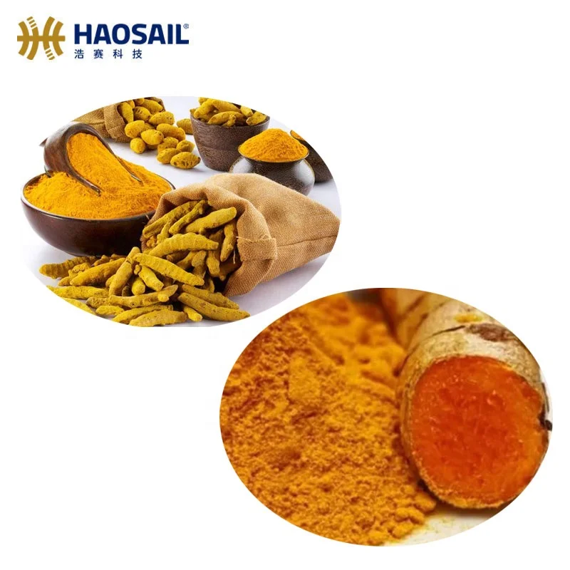 
Top Quality Pure Natural Turmeric Extract Curcumin Powder 95% 
