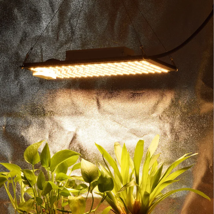 
QB1000 Samsung Lm301b Led Grow Lights For Plant 
