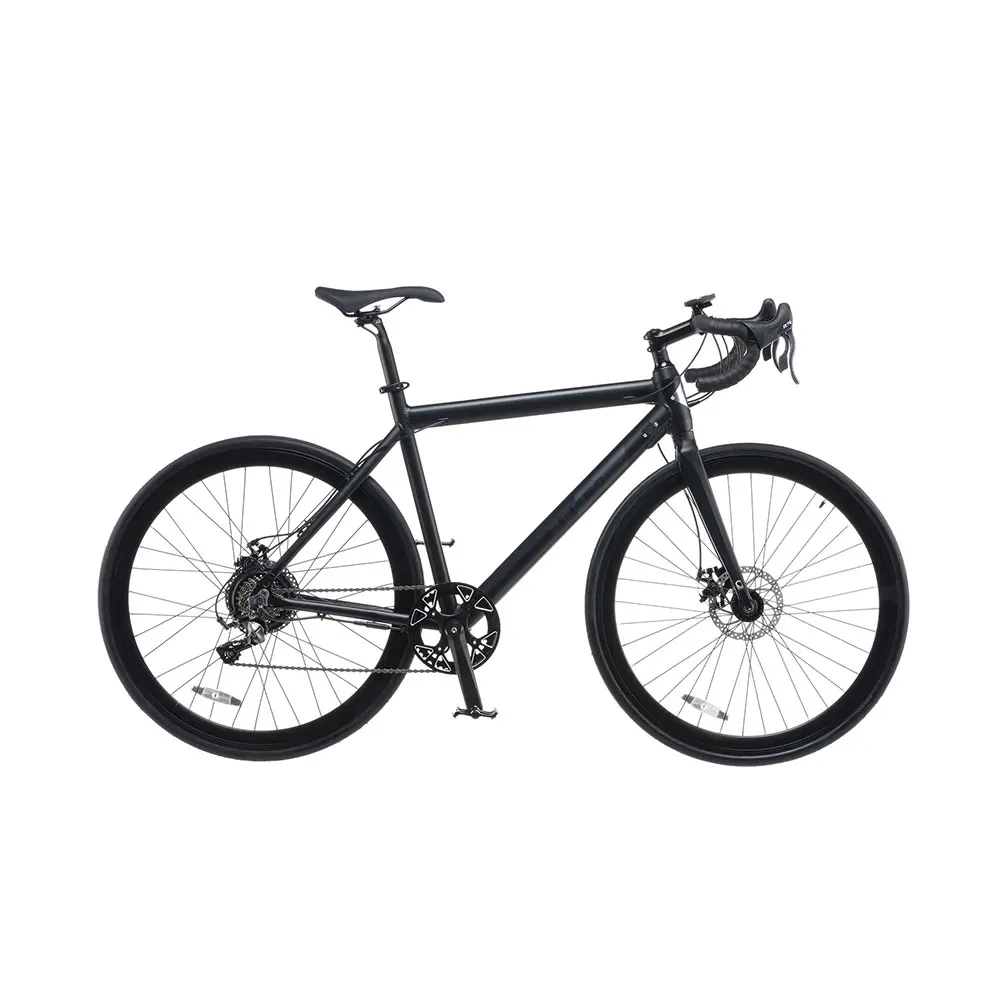 

High Quality Durable electric off road bike 250W city road electric retro bike