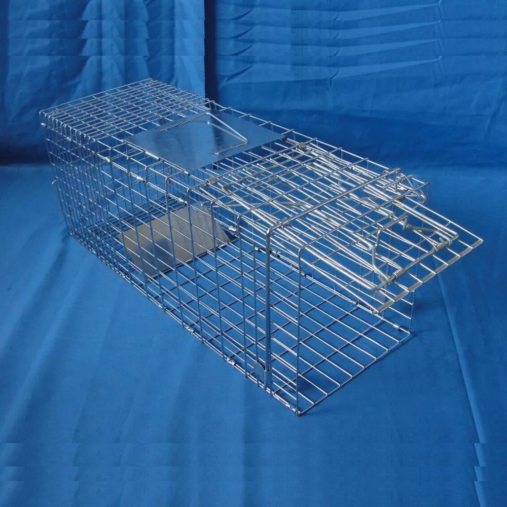 

Collapsible Live Animal Trap Catch Humane Rodent Cage Wire Cage Trap