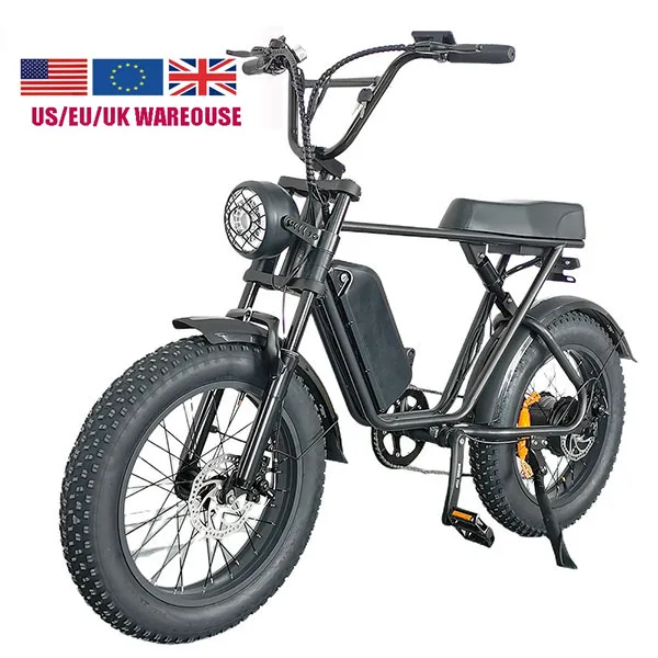 

EU US UK warehouse 20 inch Folding ebike 48v 1000w Fat tire Electric Bike Electric Bike Hub Motor For Adult