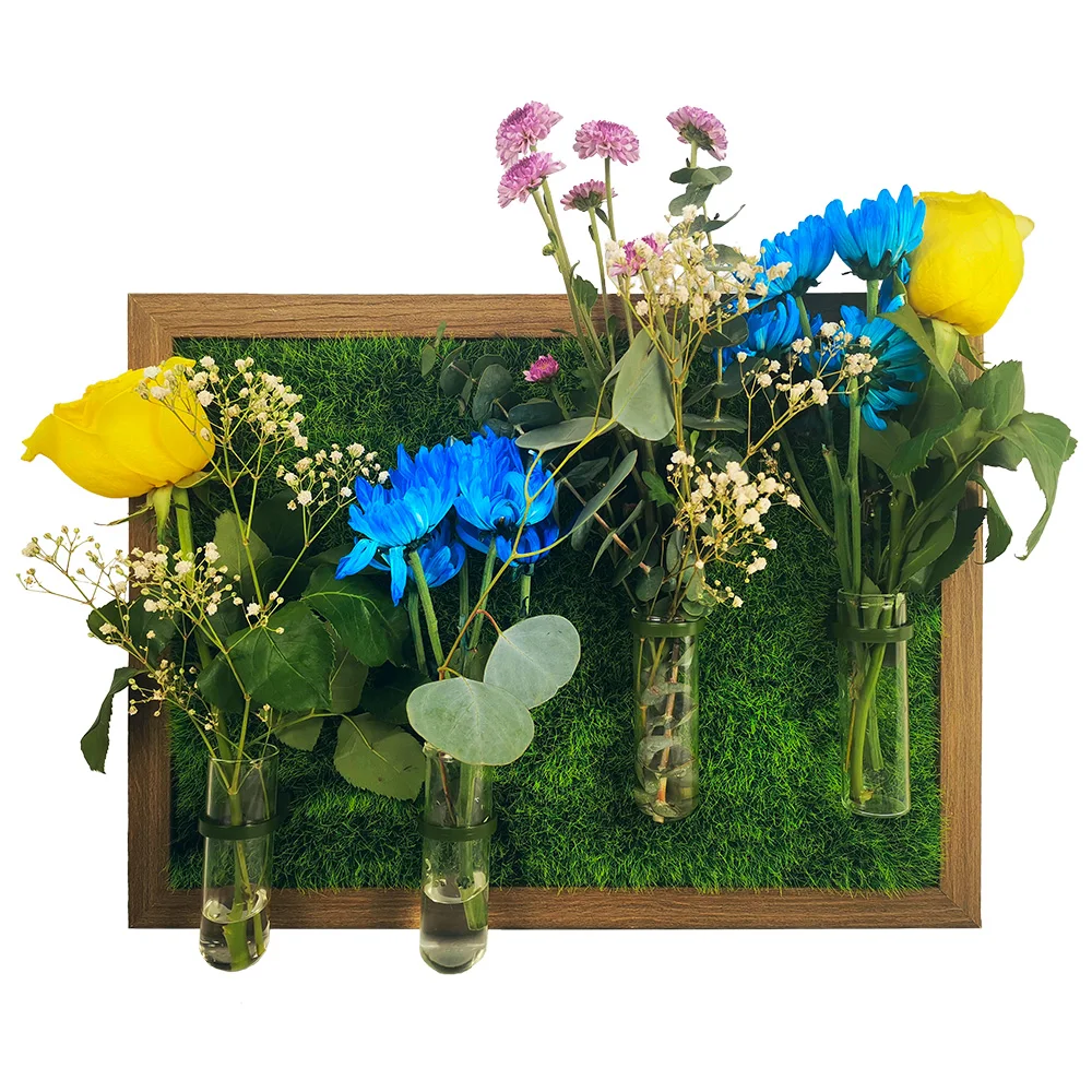 

Wall-mounted hydroponic glass vase planter withmoss wall for plant decoration, Pictures shown