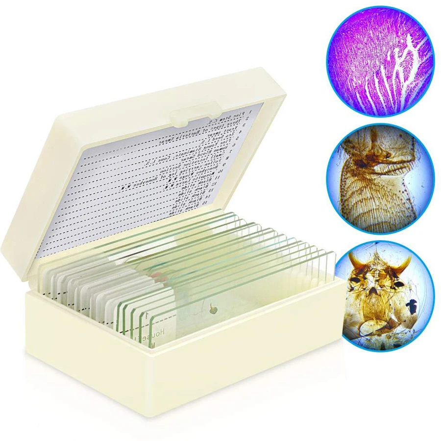 Boutique Meiosis Medical Research 12PCS Pre Prepared Microscope Slides