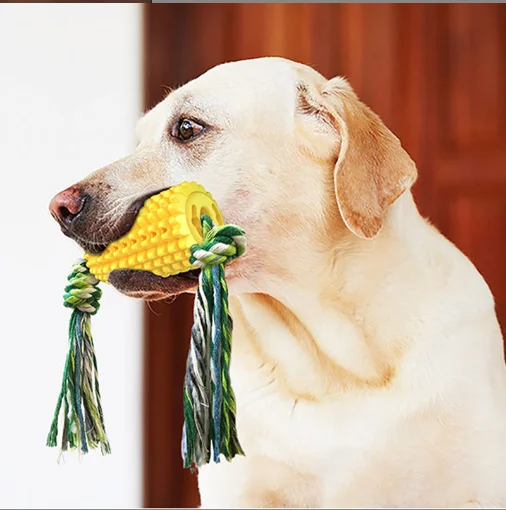 

Bunny hot sale corn molar/grinding stick bite-resistant toothbrush dog chew toy with rope dog toys, Yellow