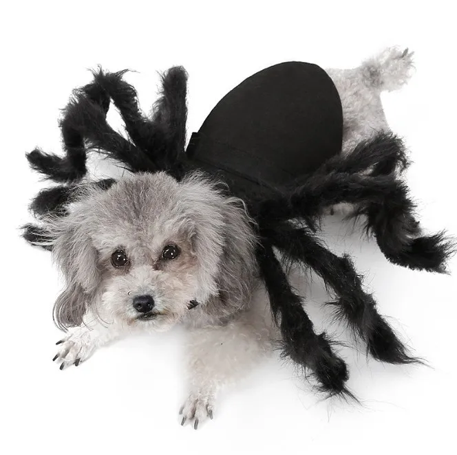 

Wholesale pet supplies pet costumes dog halloween costumes, Red