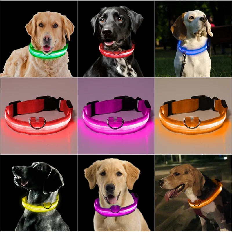 

Hot Selling Factory Direct Sale LED Flashing Pet Collar Glowing Dog Collar For Safety Walking Pet and Against Pet Lost