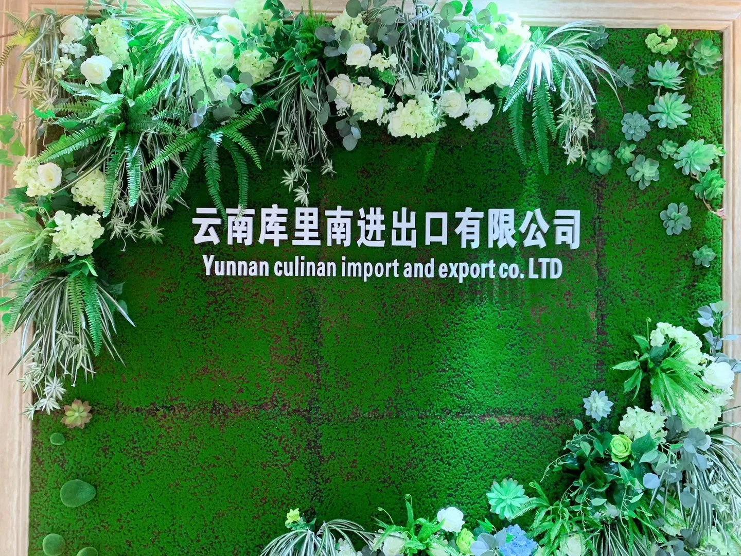 Home Office Decoration Dried Flowers Lagurus Ovatus Long Lasting