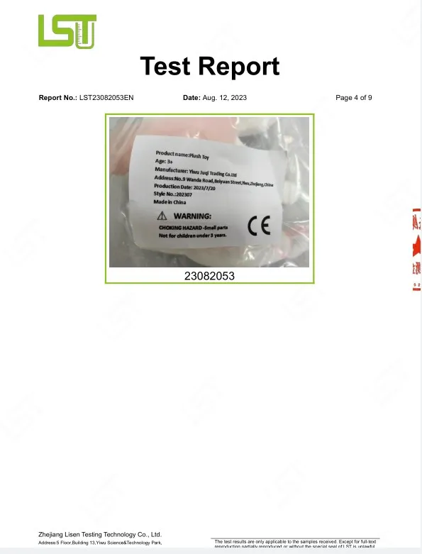EN71 Inspection Report