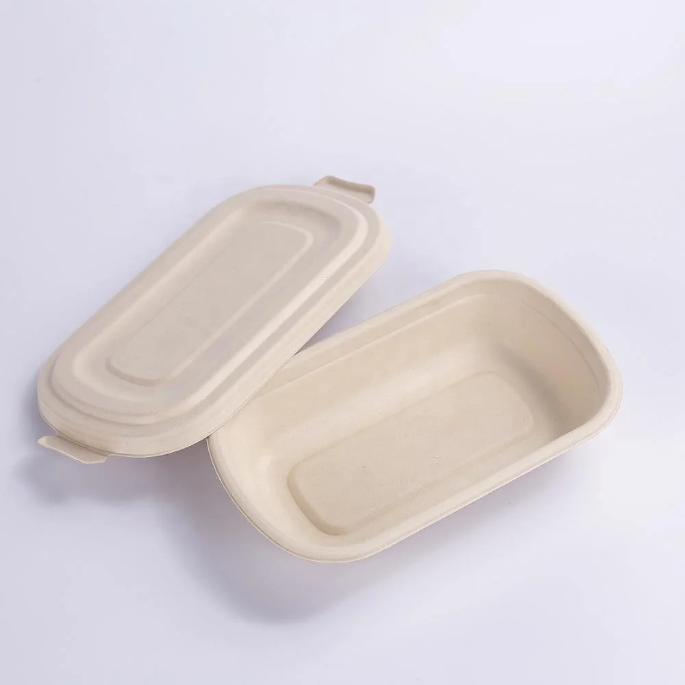 

biodegradable sugarcane bagasse 750ml food container with lid, Non-bleached or bleached