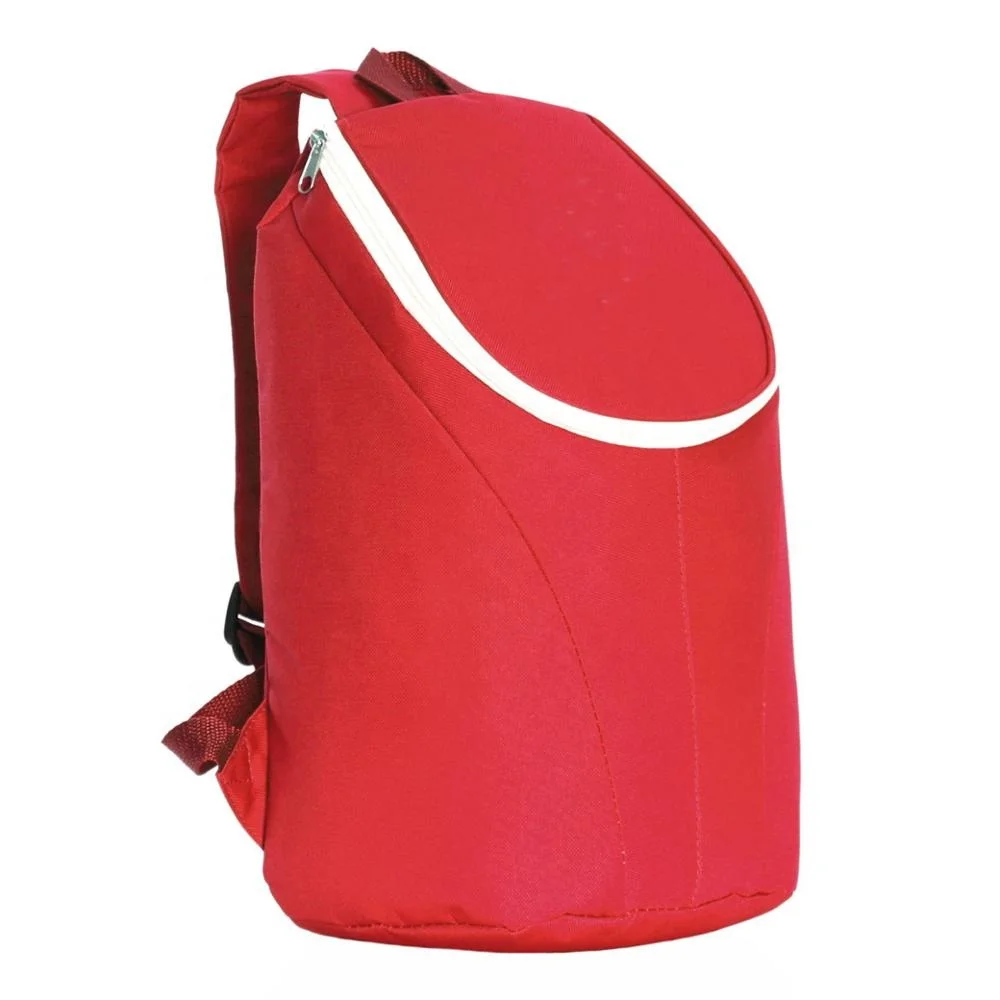 

New Style Custom Outdoor Large capacity 600D Waterproof Picnic Insulated Cooler lunch Bags, Customized