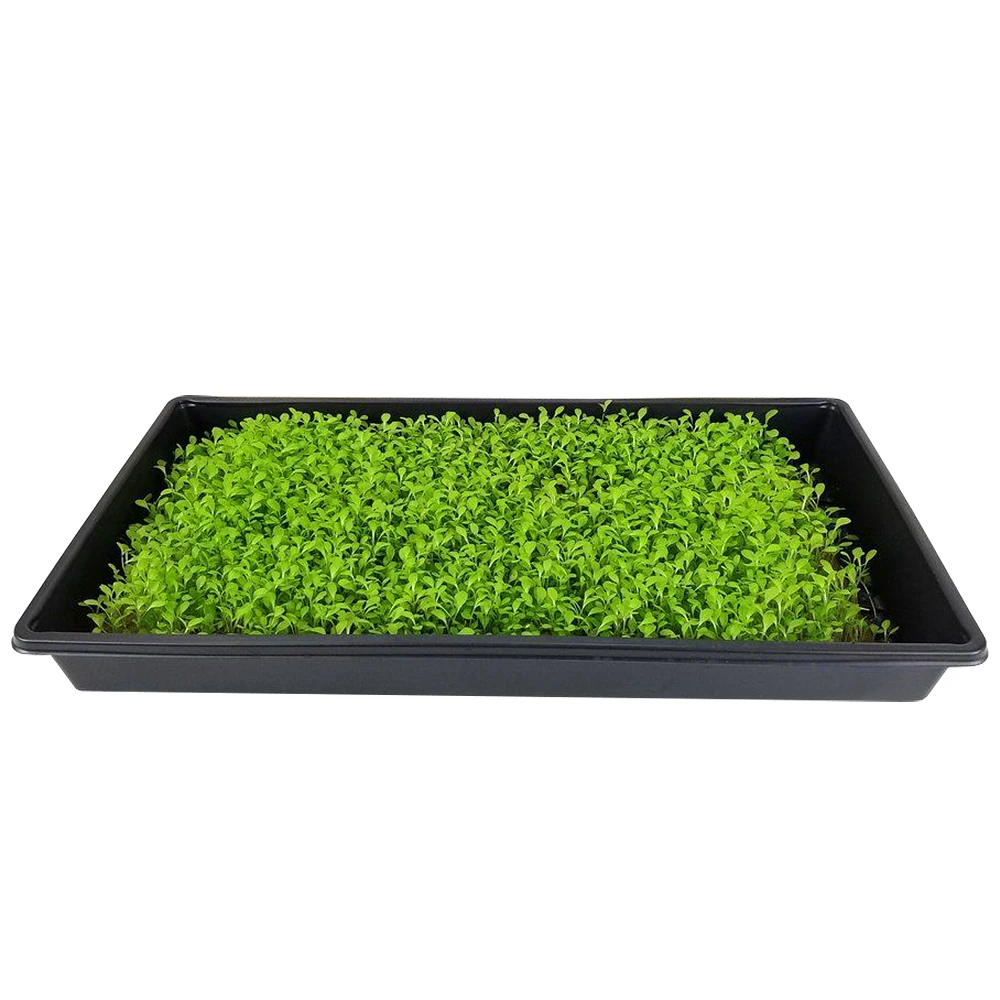 

1020 flat large shallow hydroponic tray seed starting plant germination tray for microgreens wheatgrass, Black, red