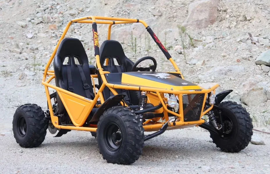 Багги Stinger 260