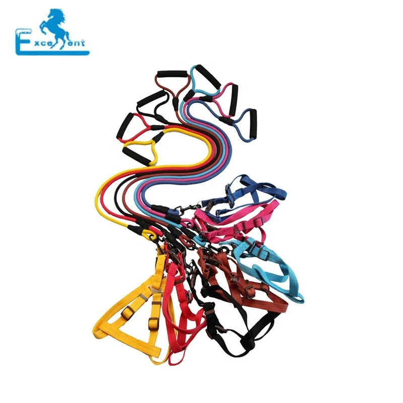 

Nylon climbing rope dog leashes jogging nylon rope, Any color is possible