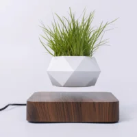 

Floating plant pot floating bonsai nursery home decoration