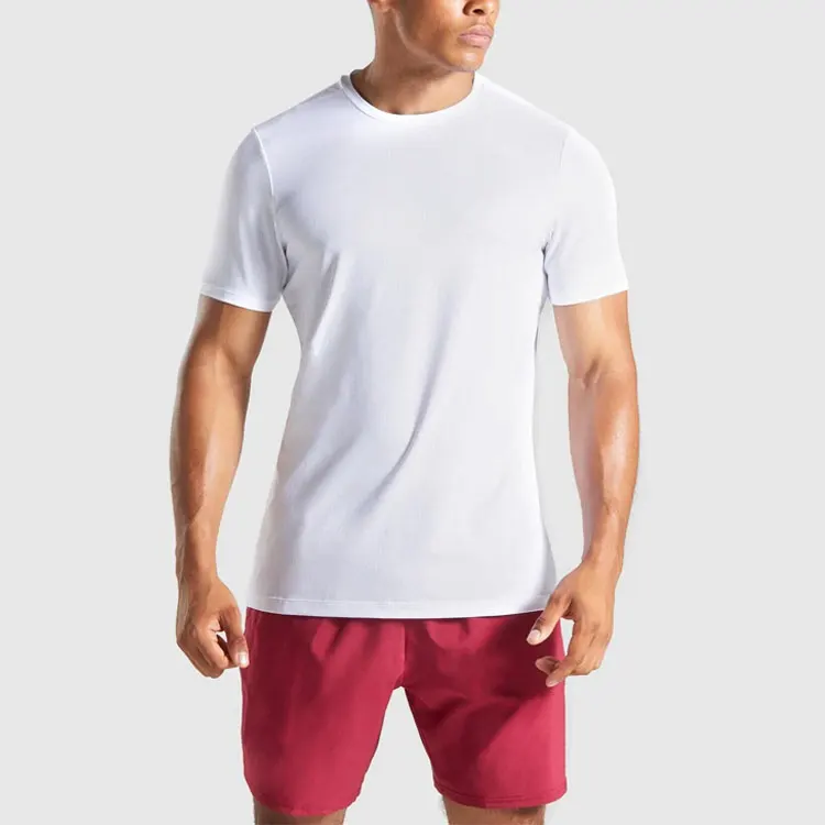 

Wholesale Fitness Clothing Mens Activewear Dry Fit Gym Sports T Shirt, Color swatch card or customized color