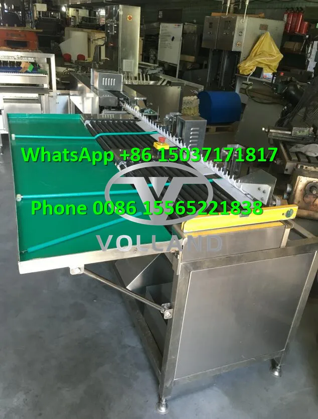 electronic egg grader3.jpg