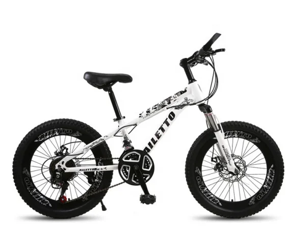 

21 speed carbon steel frame disc brake 20 inches fat bike kids bike