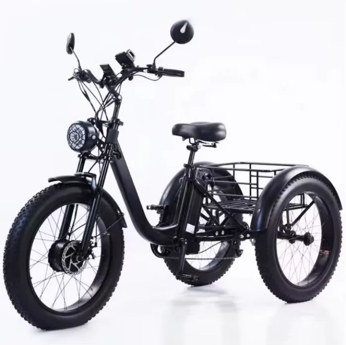 Fat Tire 3 Wheel Electric Cargo Tricycle 250W EU/750W US, Detachable Battery E-Trike Adults USA Warehouse Fast Delivery 3-7 Days