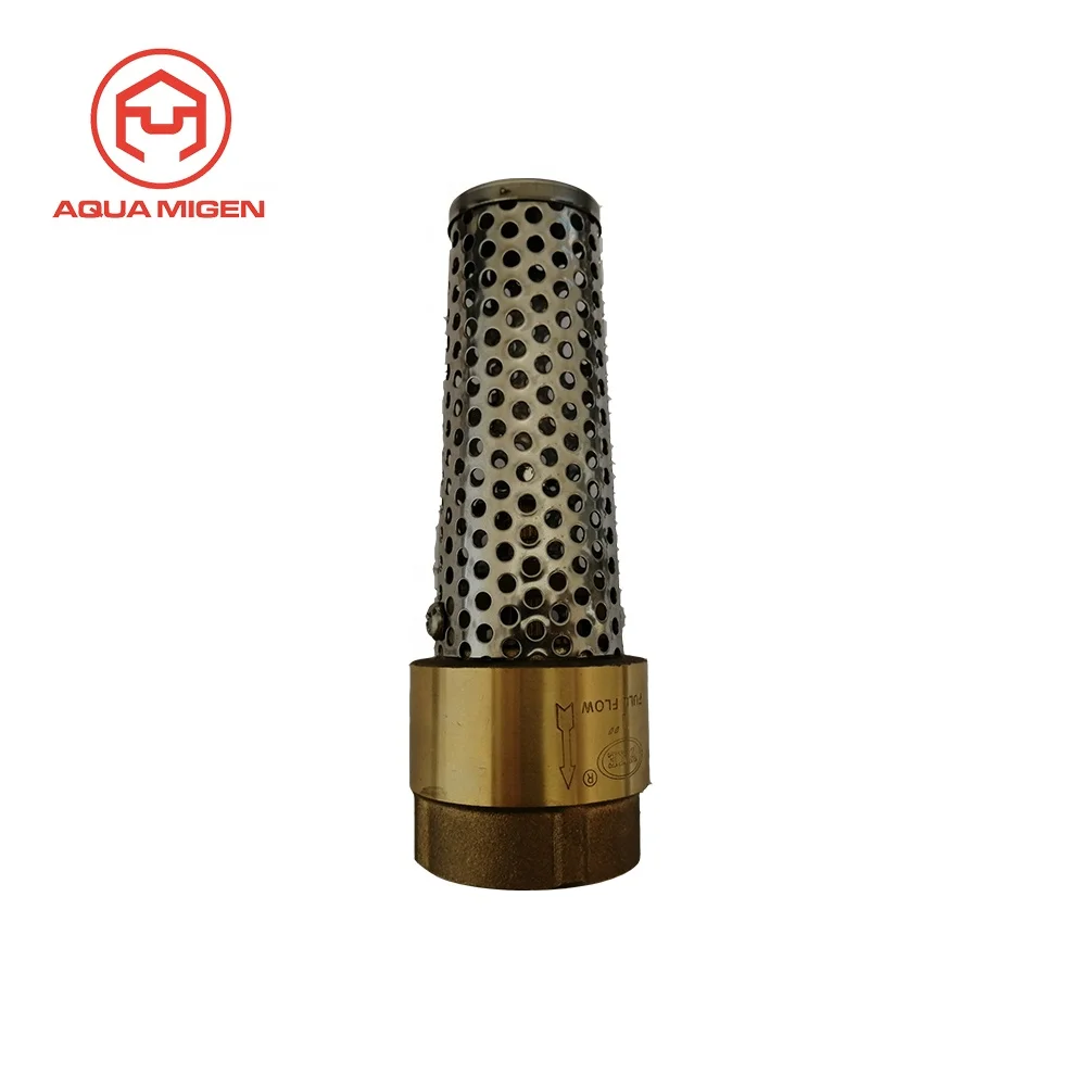 

200 PSI 3/4 in FIP BSP/NPT Thread Brass Foot Valve for Jet Well Pumps, Brass color