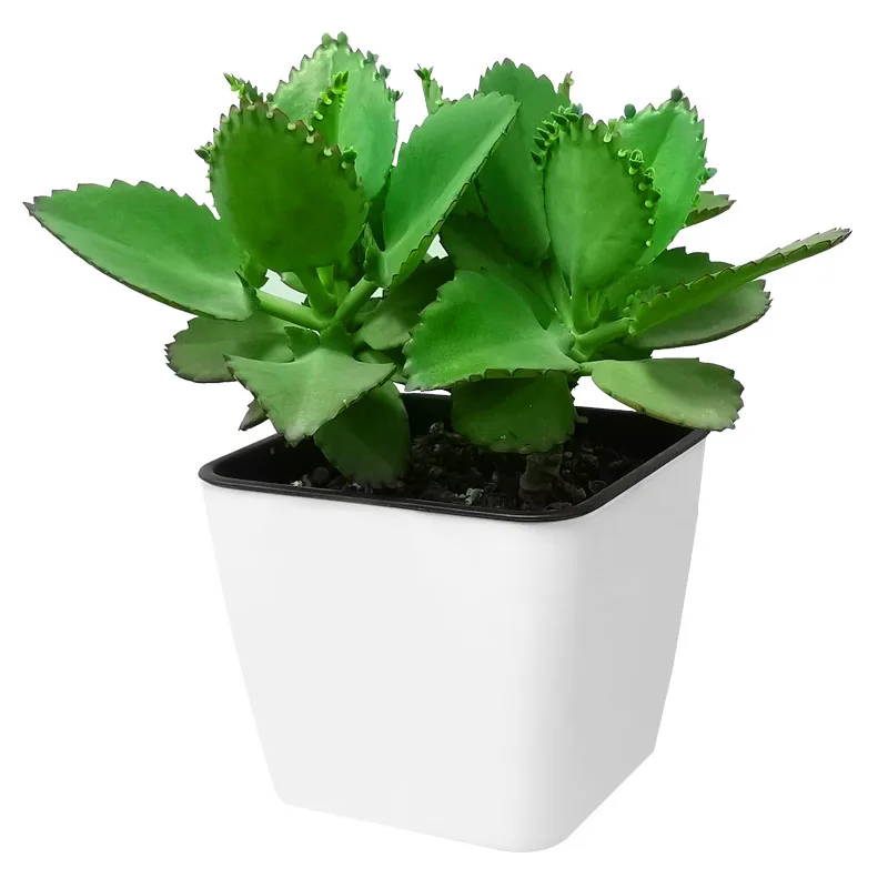 

GreenSun self watering planter mini pot RA1009