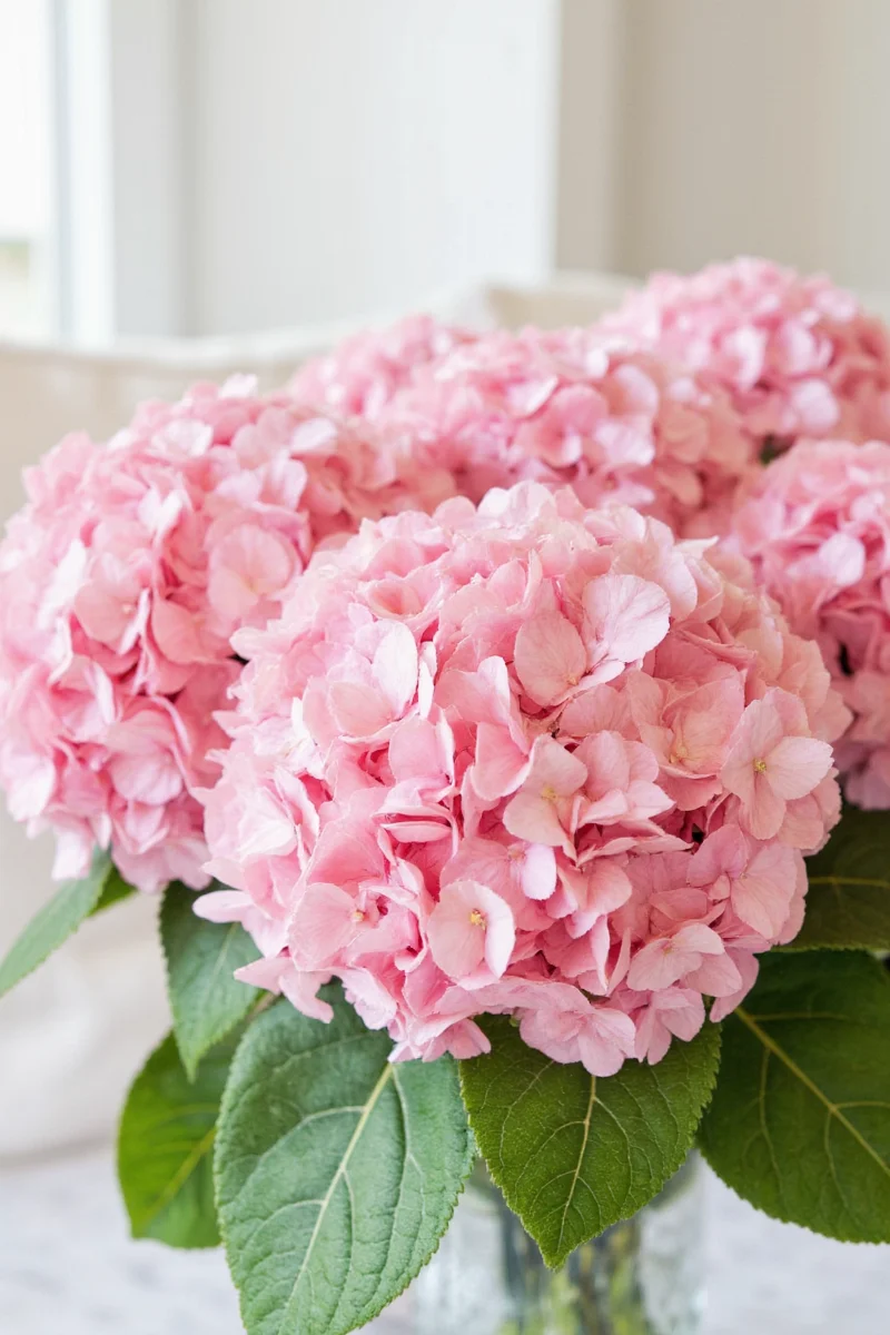 Everbloom fake hydrangeas in a nursery setting