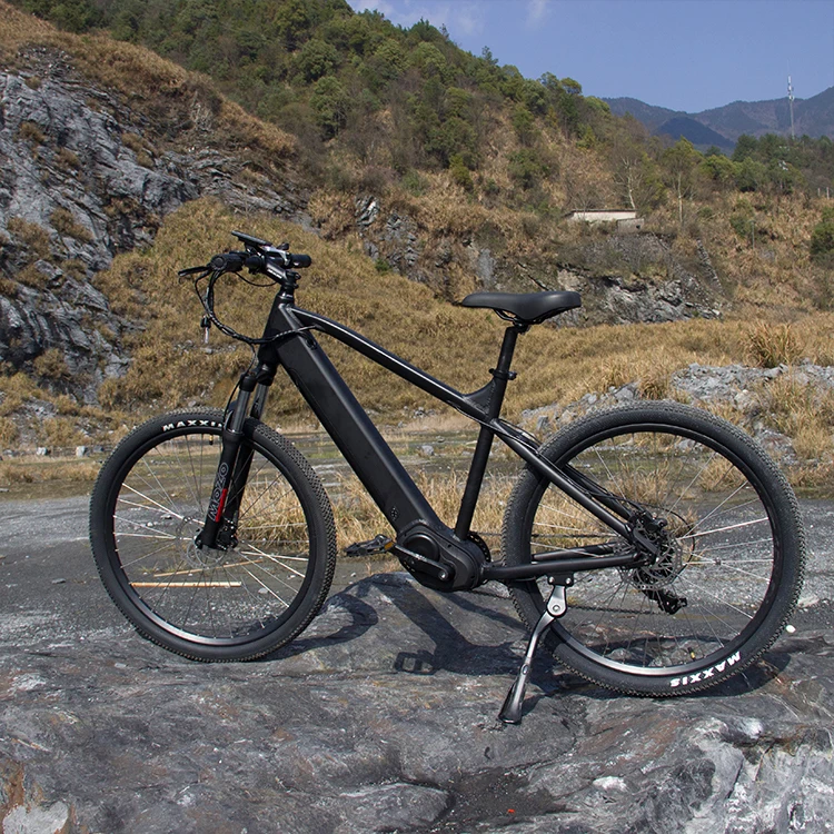 

2 warranty Mid Drive Motor Electric Bike with 48V10Ah battery
