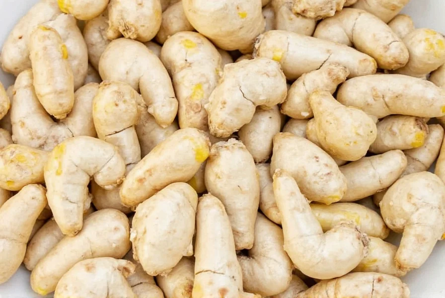 Fresh ginger root slices drying on a dehydrator tray with proper spacing for air circulation