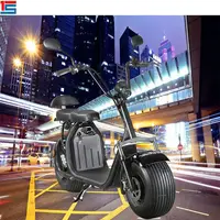 

Europe Warehouse Stock 1200w 1500w Cheap Bike 1000w citycoco fat tire electric scooter