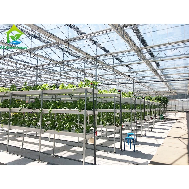 

High-tech greenhouse used aquaponics systems for commercial aquaponic sets sale