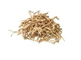 Free Shipping Best Quality Polygala Tenuifolia Extract Radix Polygalae Powder 20:1 In Bulk