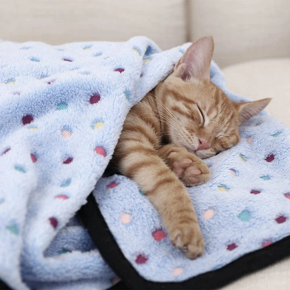 

Eco Friendly Dog Blanket Cat Bulk Fleece Blanket Pet Blanket Soft Dogs Cats