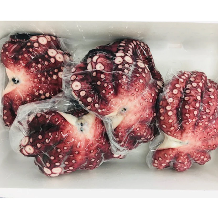 
10kg frozen steamed original taste maki octopus new wholesale seafood fresh product 