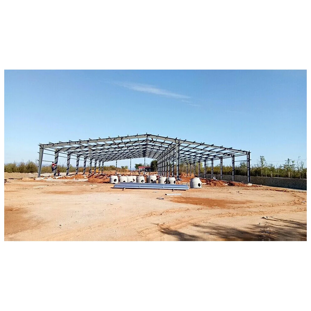 
Japanese shiitake mushroom cultivation consulting oem product personalized service 