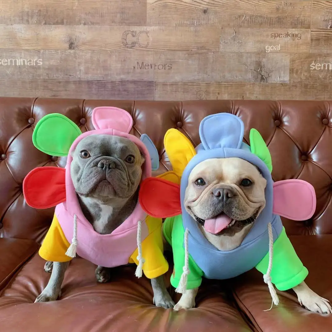 

Autumn winter color matching sunflower new cute stretch fat dog warm sweater fleece dog hoodie