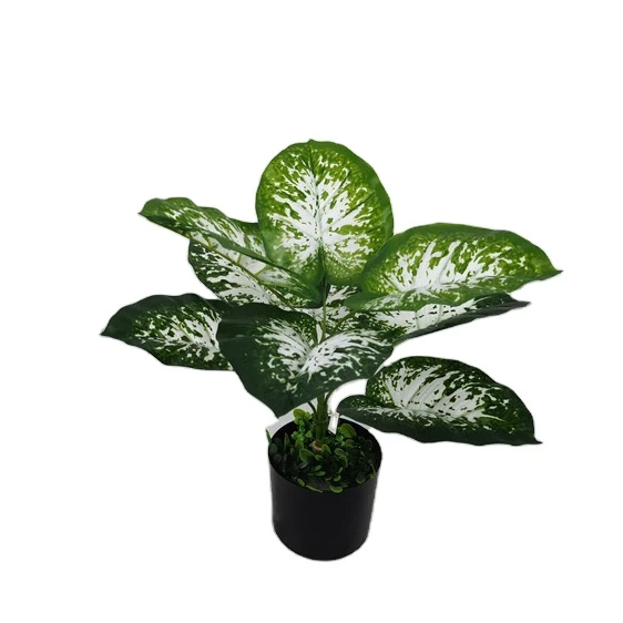 

YD8735-2 wholesale ornamental faux plants bonsai for Home Decor, Realistic Artificial Plants, Lifelike Fake Plant Decoration