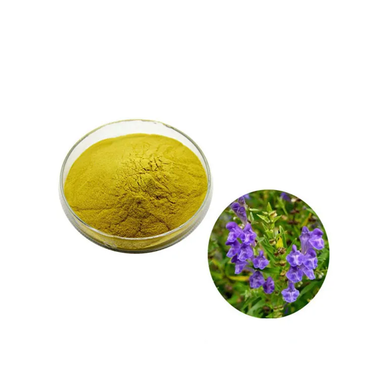 厂家直销黄芩黄芩提取物 80% - buy 黄芩根提取物,黄芩,汉黄芩草药