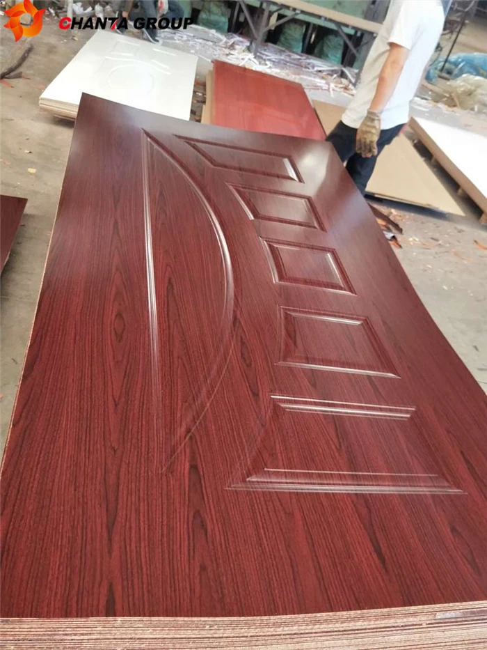 Door Skin22_