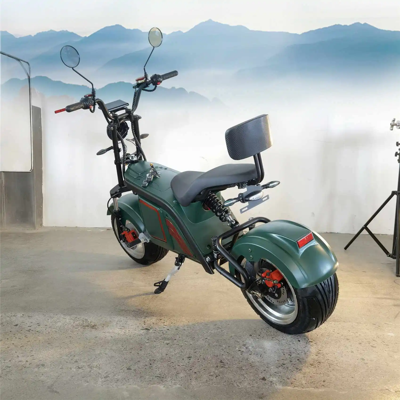 

2022 High Quality Safety 10 Inch 2 Wheel 1500W New Electric Scooter