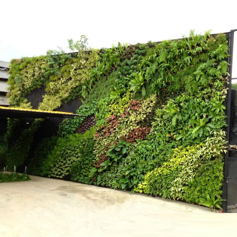 

Indoor Artificial Plastic Creeper Boxwood Hedge Moss Grass Plant Vertical System Panels Leaves Green Wall For Decoration