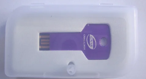 factory price 8gb 16gb 32gb 64gb 128gb 256gb USB3.0 key flash drive - ANKUX.COM