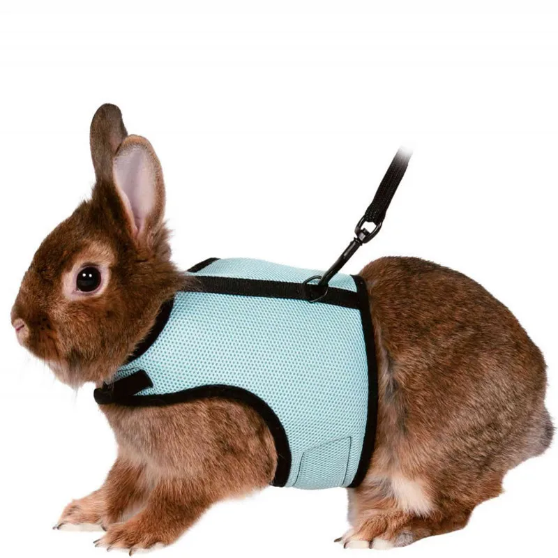 

Small pet rabbit squirrel leash cheap vest-style comfortable harness pet clothes, Details page