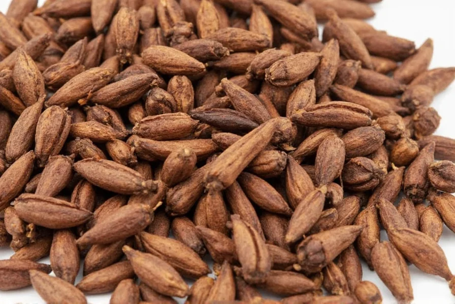 Clove facts infographic