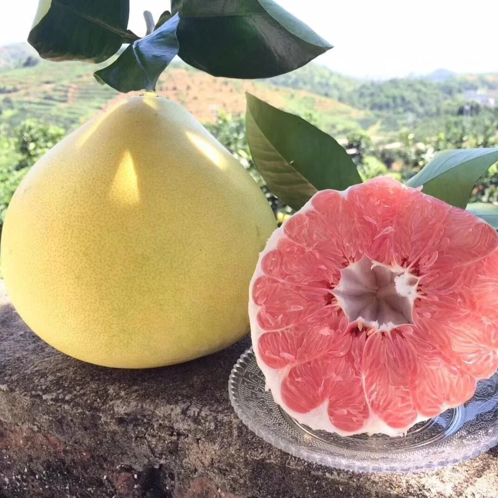 Buy China Green Honey Pomelo Buy Famous Fruit In China,Guangxi Pomelo