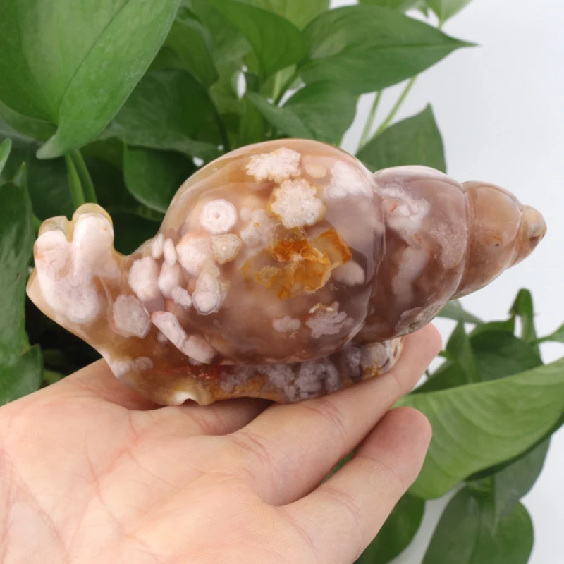 

Unique ocean jasper Sakura Agate Snail turtle Carvings Natural Cherry Blossoms Agate Animal Statues