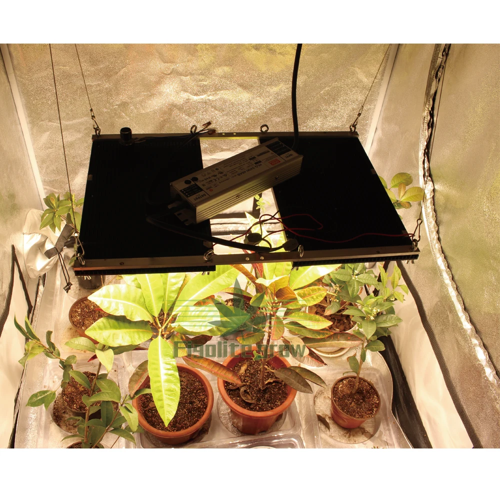 2X120W-LM301H+UV&IR-H02