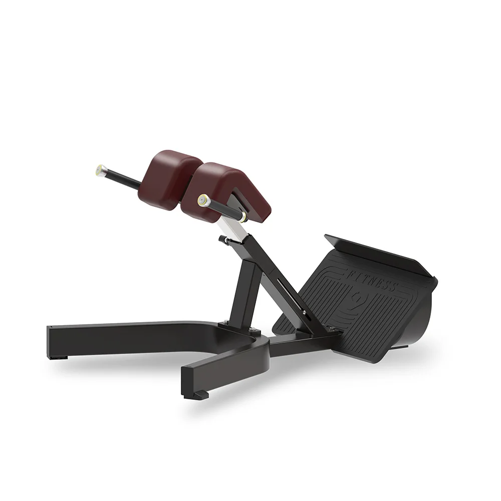 

Fitness equipment commercial gym home trainer TB45 seated back extension machine