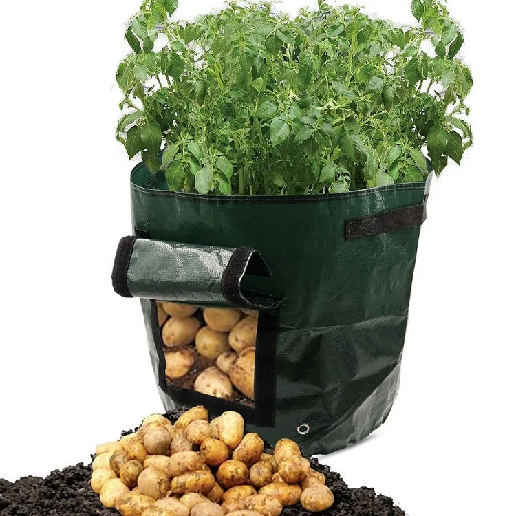 

New Plant Grow Bag Diy Potato Grow Planter Pe Cloth Tomato Planting Container Bag Thicken Garden Pot Garden Supplies