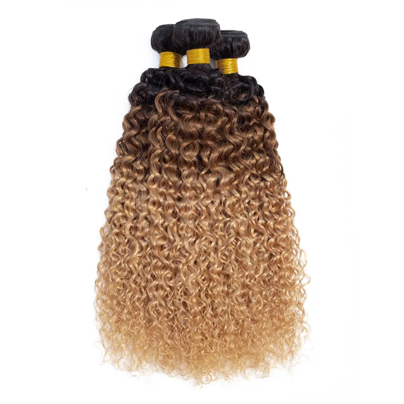 

3 tone color cheap ombre virgin curly 3 bundles 1 b 4 30 human hair bundles brazilian lace frontal closure