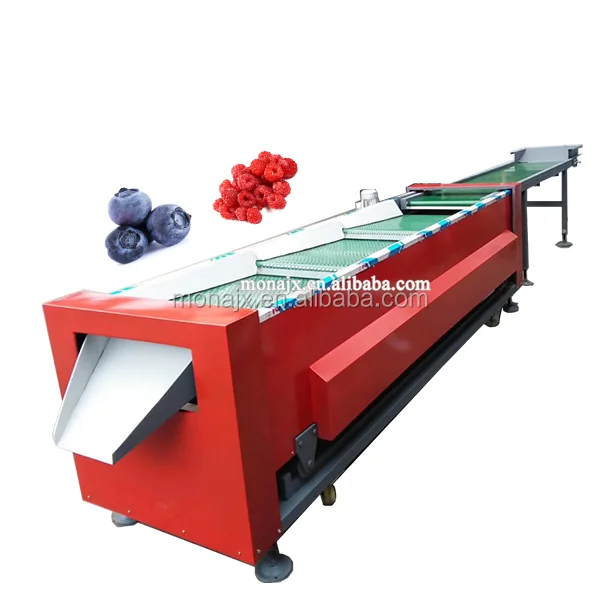 blueberry sorter (11).png