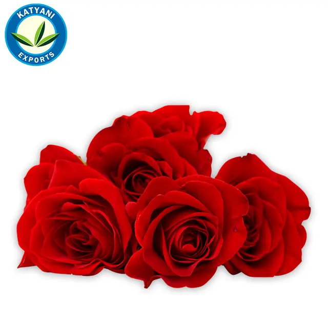 
100 % Organic Natural & Pure Attar Gulab (Rose)/ Best Pure Attar Gulab (Rose) 